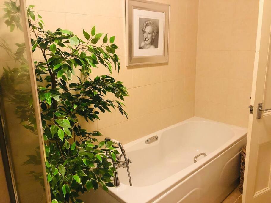 Ilkley Garden Suite Exterior foto